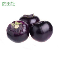 新鲜蔬菜现摘圆茄子紫黑茄子三斤五斤