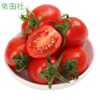 千禧圣女果小西红柿番茄水果新鲜蔬菜应季水果整箱5斤