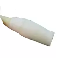 高山新鲜茭白 高笋鲜嫩水笋产妇月子新鲜蔬菜茭瓜5斤