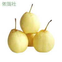 脆甜多汁河北鸭梨水果新鲜10斤雪梨母梨子5斤雪花梨白梨皇冠梨