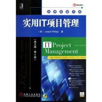 实用IT项目管理斯9787111325949