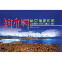 纳木错常见植物图册陈家辉//杨永平9787502952198