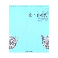 爱上青花瓷姚琪9787535645067