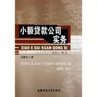 小额贷款公司实务谷新生9787811413229