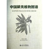 中国蕨类植物图谱(精)秦仁昌9787301194751