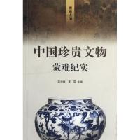 邂逅太阳(中国珍贵文物蒙难纪实)高学栋//夏风9787547405703