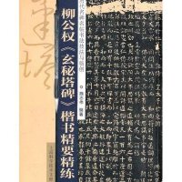 柳公权玄秘塔碑楷书精要精练/历代名碑名帖书法技法与临创施志伟9787543954397