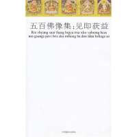 五百佛像集--见即获益郑堆//罗文华9787802533387