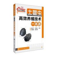 土鳖虫高效养殖技术一本通/农村书屋系列潘红平//邓寅业9787122200587