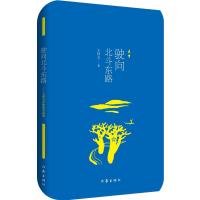 驶向北斗东路王祥夫9787506373623