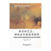 激进的艺术--媒体时代的诗歌创作/美国艺术与科学院院士文学理论与批评经典(美)玛乔瑞·帕洛夫|译者:聂珍钊
