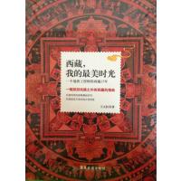 西藏我的*美时光(一个地质工程师的西藏15年)王元红9787807668282
