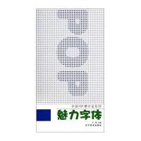 魅力字体/手绘POP掌中宝系列王猛9787531461586