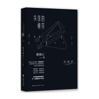 失落的桃符御风楼主人9787535478849