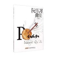 阮练习曲集巫东攀9787539651248