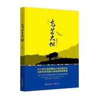 光芒大地张祖文9787229093099