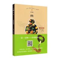 一捻玩物(串珠配饰)编者:曹晓楠//徐嘉誉//方毅9787533056063