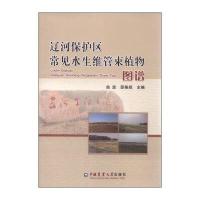 辽河保护区常见水生维管束植物图谱编者:曲波//邵美妮9787565512186