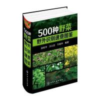 500种野菜野外识别速查图鉴(精)编者:岳桂华//王以忠//于爱华9787122245977