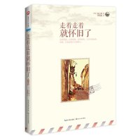 正版  走着走着就怀旧了10年22站旅程29首歌慰藉突然长大成人的你文学散文