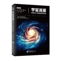 宇宙波澜 科技与人类前途的自省 量子力学弗里曼戴森经典自传科普读物 科学世界微百科系列 宇宙史书籍