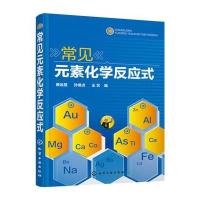 正版常见元素化学反应式化学元素周期表快速掌握方法技巧化学反应方程式基础知识大全教程零基础学