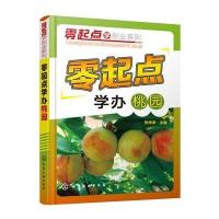 零起点学办桃园