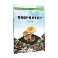 茶薪菇种植能手谈经/食用菌种植能手谈经与专家点评系列/新型职业农民书架编者:米青山//张华珍|总主编:康源春//张玉亭