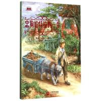 忠狗帕特拉的一生/青少年世界经典阅读文库(英)维达|译者:乔向东9787544461320