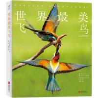 世界*美飞鸟日本X-Knowledge Co.Ltd|译者:李博9787550250901