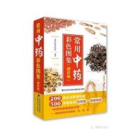 常用**彩色图集(**版)编者:老中医养生堂9787533548629