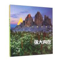 强大内在(风光摄影进阶)高觉9787551413343