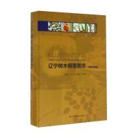 辽宁树木病害图志(侵染*病害)(精)编者:高国平//单锋//赵瑞星9787538197693