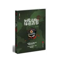 如此这般的绿色青春汀之丁9787539993751