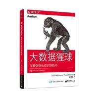 大数据猩球：海量数据处理实践指南菲利普·克罗默9787121294181