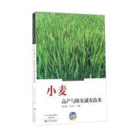 小麦高产与防灾减灾技术/农作物高产与防灾减灾技术系列丛书编者:郭天财//王永华|总主编:张新友978755421360