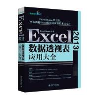 正品保证Excel2013数据透视表应用大全编者:Excel Home9787301272909