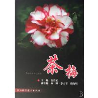 茶梅(精)徐碧玉9787534130601