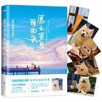 愿无岁月可回头 回忆专用小马甲首部短篇故事集图书籍