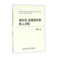 城市化集聚效应和收入分配王建国9787565517075