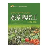 蔬菜栽培工(5级4级1 X职业技术职业资格培训教材)编者:张瑞明9787516726068