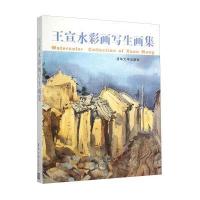 王宣水彩画写生画集(精)王宣9787302406822