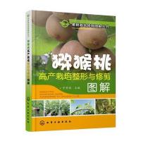 猕猴桃高产栽培整形与修剪图解/果树栽培修剪图解丛书编者:齐秀娟9787122278449