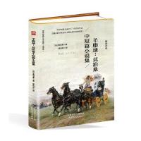 羊脂球--莫泊桑中短篇小说集(全译本)(精)/世界经典文学名著(法)莫泊桑|译者:杨风帆9787201102528
