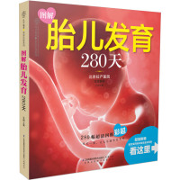 预售 图解胎儿发育280天 北京妇产医院 赠胎宝宝四维彩超现金抵用券 江苏凤凰科学技术出版社