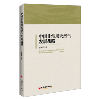 非常规天然气发展战略9787513644303姜鑫民;经济出版社