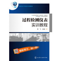 过程检测仪表实训教程李飞