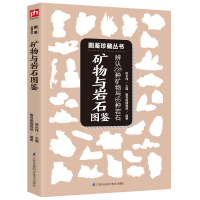 矿物与岩石图鉴陈长伟矿物与岩石图鉴辨认231种矿物与65种岩石图鉴珍藏丛考古