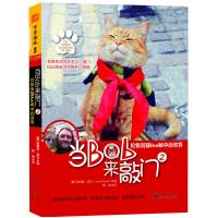 当BOB来敲2:伦敦街猫Bob眼中的世界外国励志小说治愈书籍宠物杂事人与猫励志传奇故事书