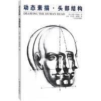 动态素描:头部结构绘画书籍